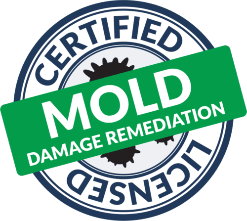 NYC Mold Remediation & Water Mitigation | GreenRoom Remediation