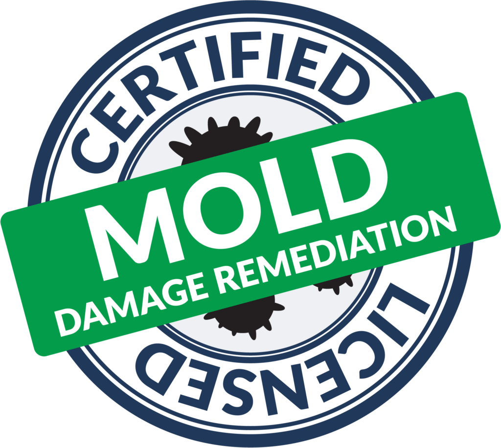 Ny Mold Remediation & Water Mitigation | Green Room Mold Resources