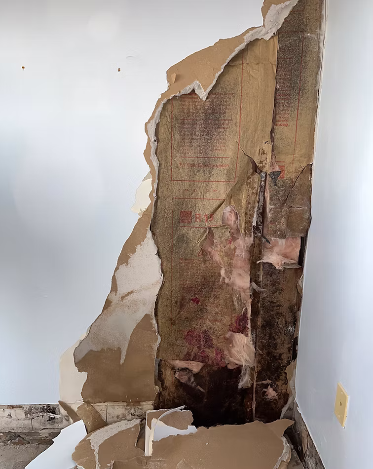 Mold Resources | NY Mold Remediation & Water Damage Restoration