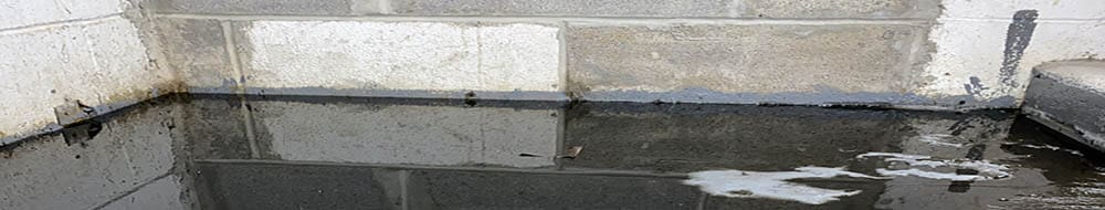 NYC Mold Remediation & Water Mitigation | GreenRoom Remediation | NYC Mold Remediation & Water Damage Restoration