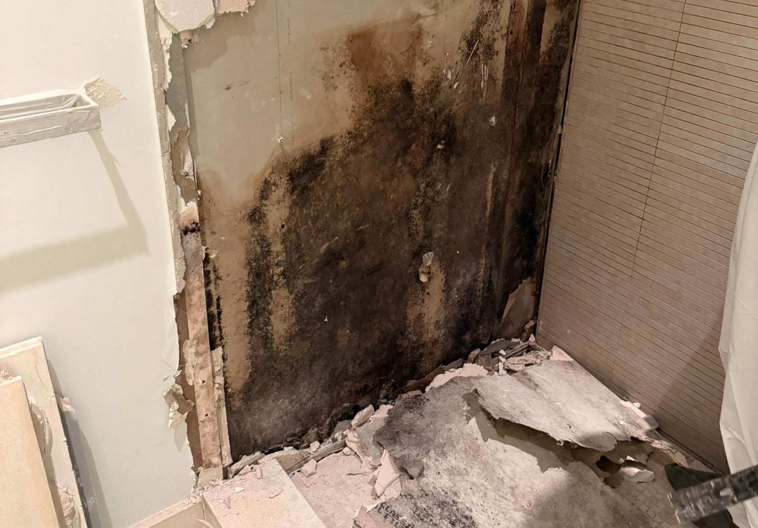 Why Professional Mold Remediation Costs What It Does | NYC Mold Remediation & Water Damage Restoration
