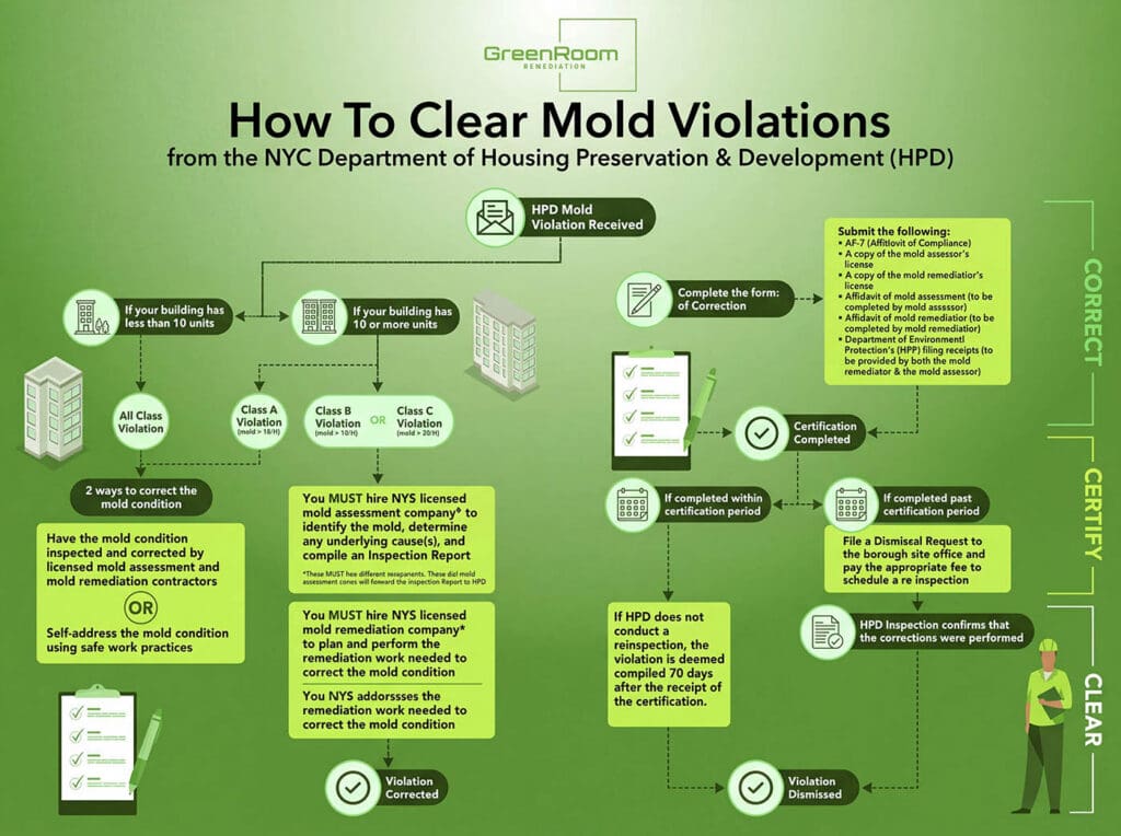 How to Clear an HPD Mold Violation in NYC | NYC Mold Remediation & Water Damage Restoration
