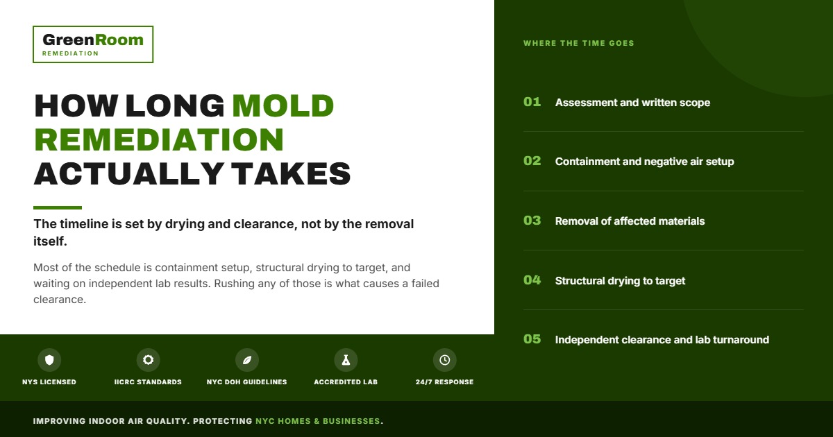 How Long Does Mold Remediation Take in NYC? Realistic Timelines by Project Size | NYC Mold Remediation & Water Damage Restoration