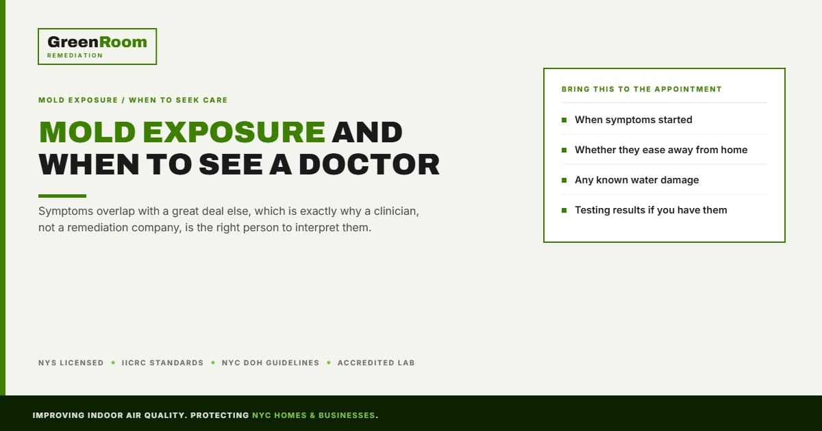 Mold Exposure and Health: When NYC Residents Should See a Doctor | NYC Mold Remediation & Water Damage Restoration