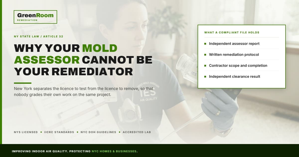 New York State Article 32 Explained: Why Your Mold Assessor Cannot Be Your Remediator | NYC Mold Remediation & Water Damage Restoration