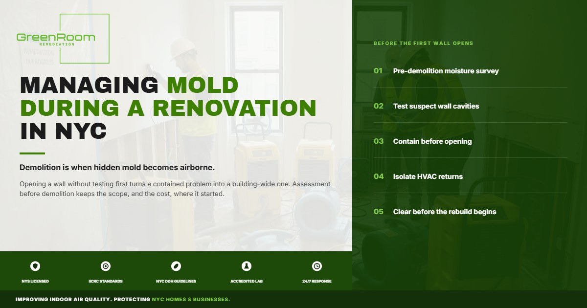 Mold During Renovation in NYC: Why Disturbing Walls Creates a Hidden Risk
