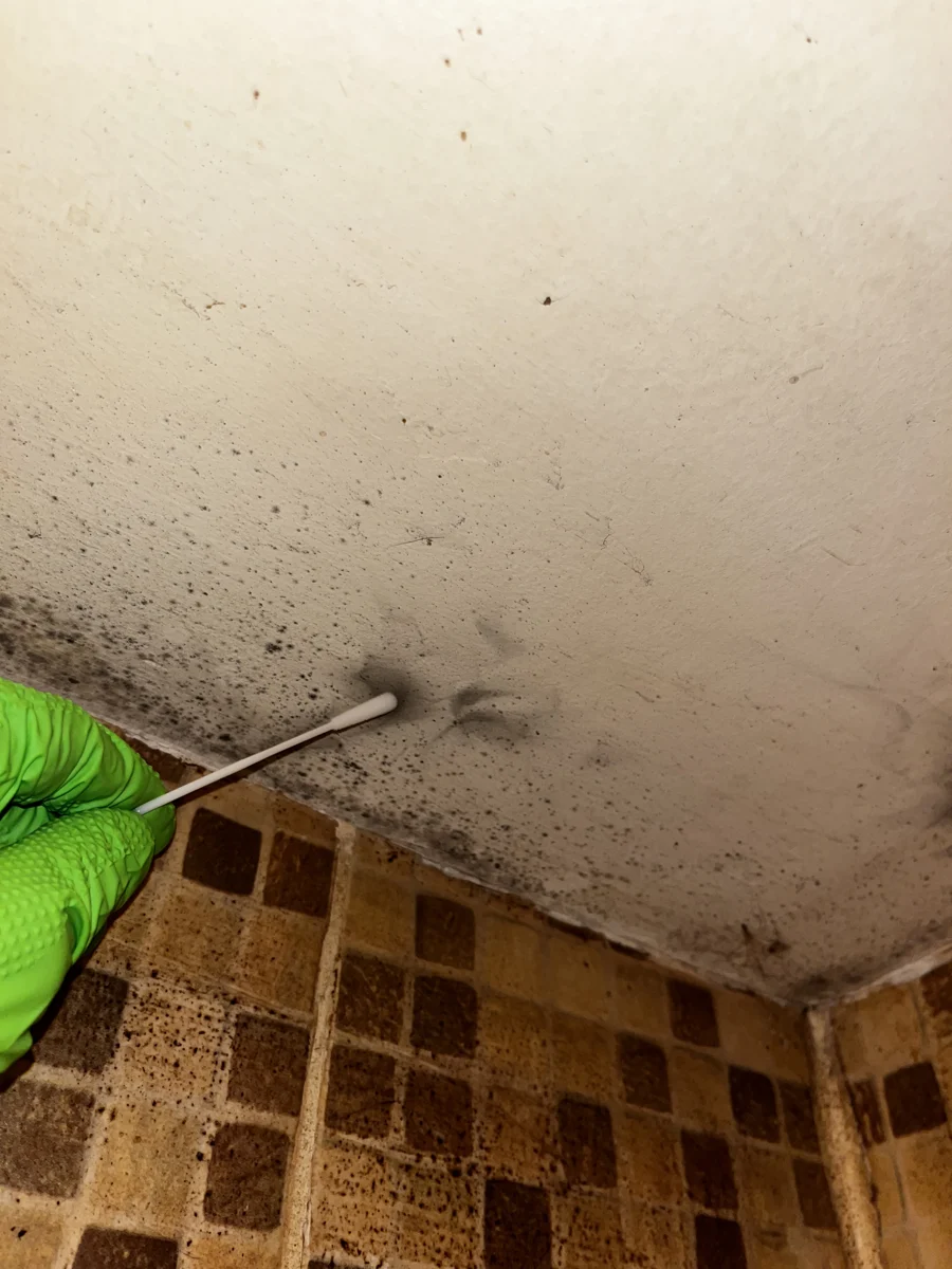 Close-up of a green-gloved hand collecting a swab sample from a discolored ceiling beside tiled walls